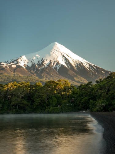 Snow-capped volcano above native forest and a lakeshore