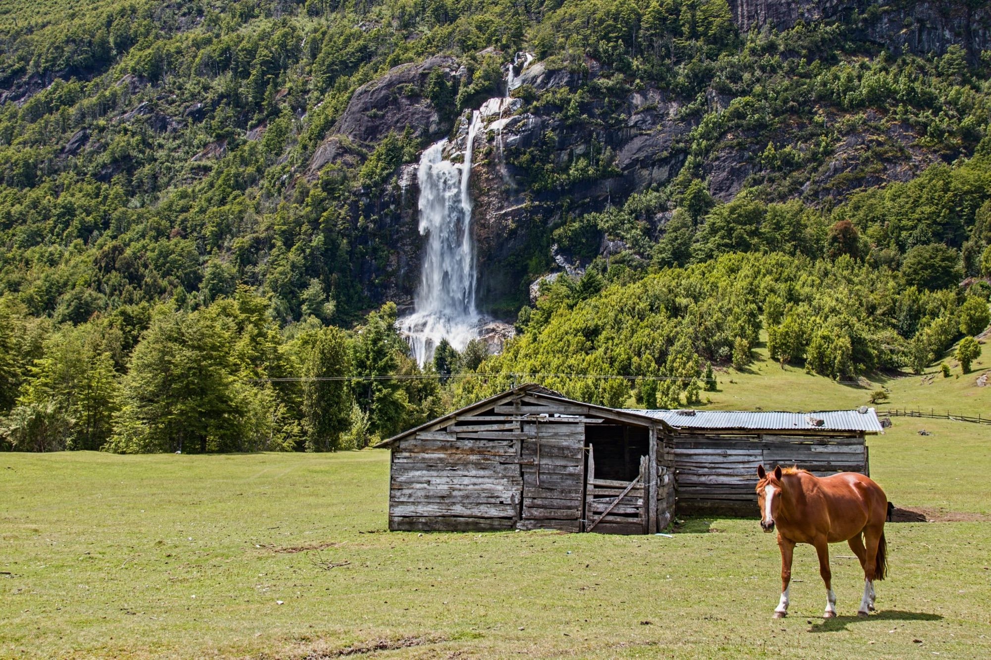 A horse beside a wooden barn in a Llanada Grande meadow, with a waterfall on the hillside