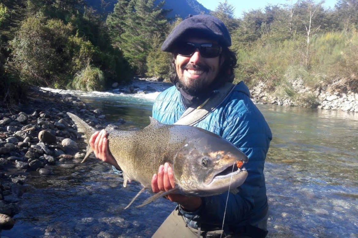 Trucha recién pescada sobre la mano del guía