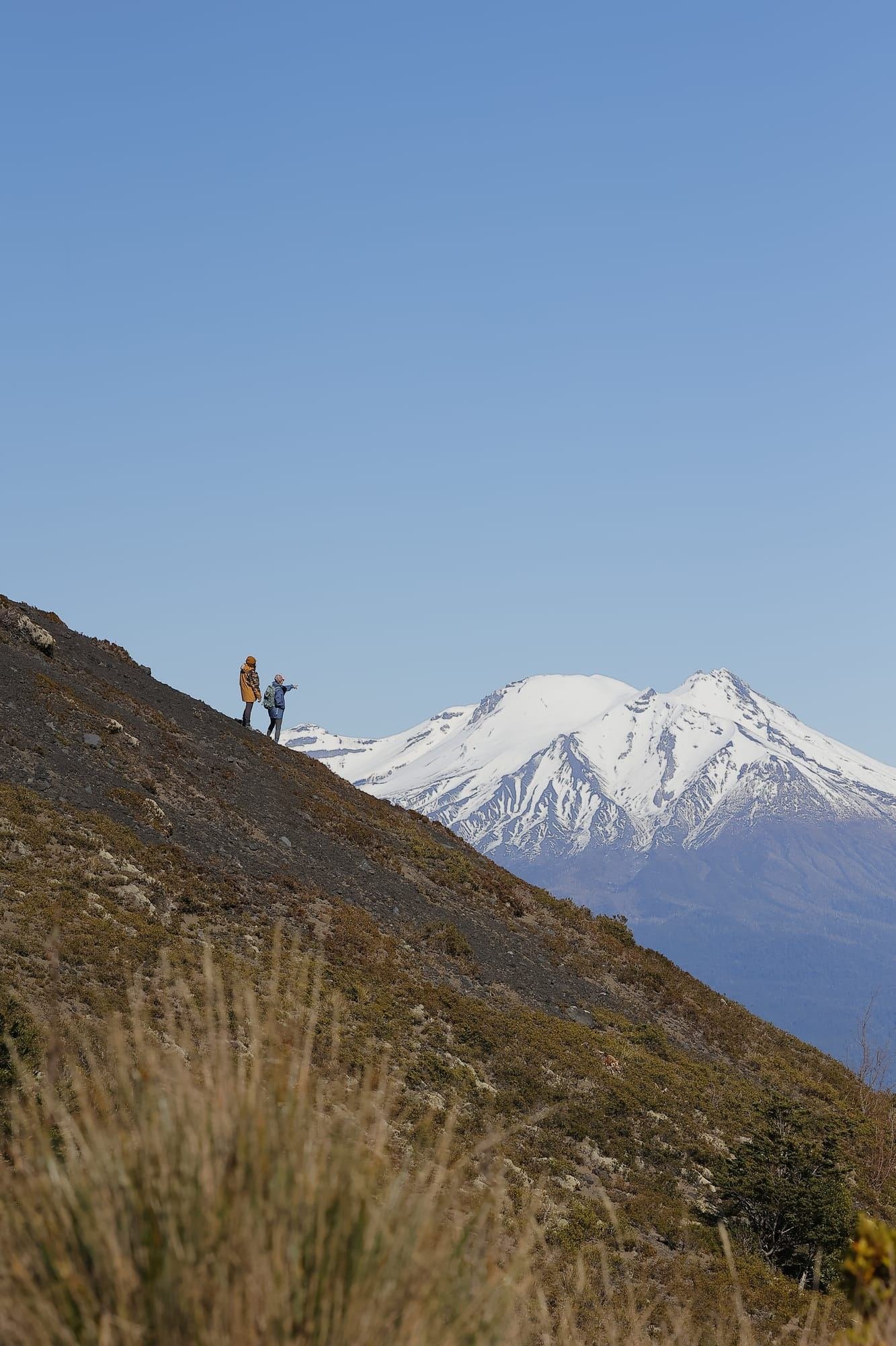 Dos caminantes en una ladera, con un volcán nevado al fondo