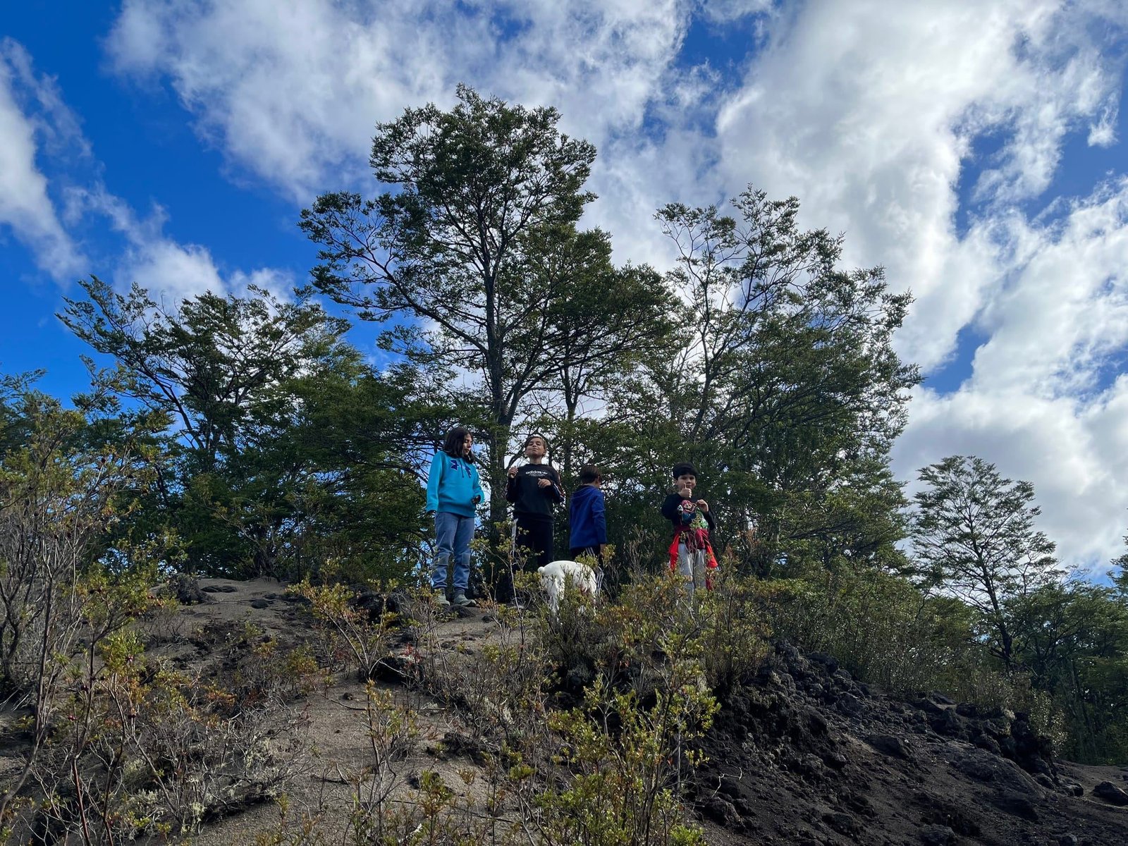 A group walks along a trail among native trees